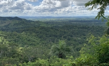 Jaguar is in the Carajas region of Brazil