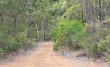 Deep in the Northern Jarrah Forest with Alcoa.