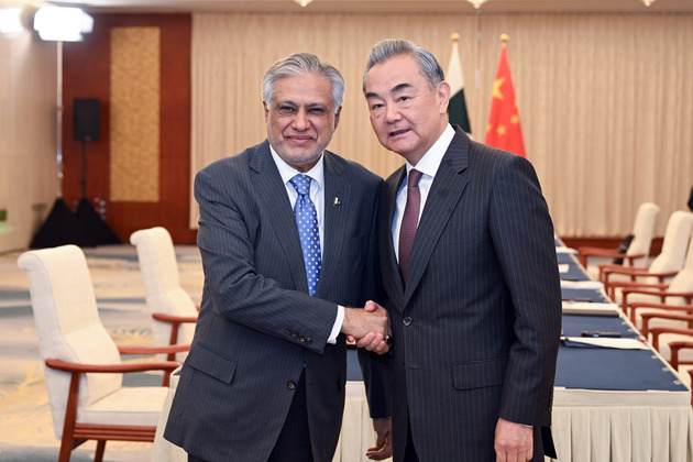 CHINA-TIANJIN-WANG YI-PAKISTAN-DEPUTY PM-FM-MEETING (CN)