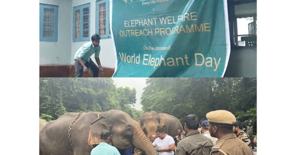 World Elephant Day: Vantara expands elephant welfare outreach across India and globally