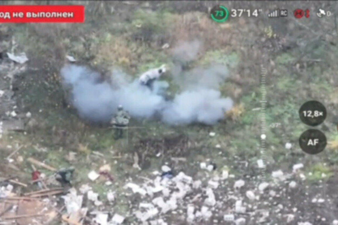 Pig saves two Russian soldiers from stepping on mine - media (VIDEO)