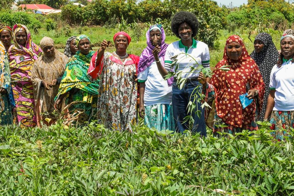 (Hello Africa) Cameroonian women rebuild livelihoods through empowerment projects in conflict zones
