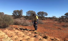  A geologist at Carnavale's Kookynie project