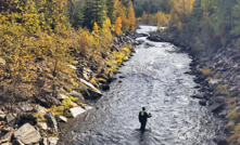  The project is part of a larger, multi-agency/multi-state cleanup of the Coeur d’Alene basin