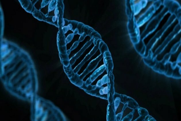 Genetic variations linked to COVID-19 disease severity