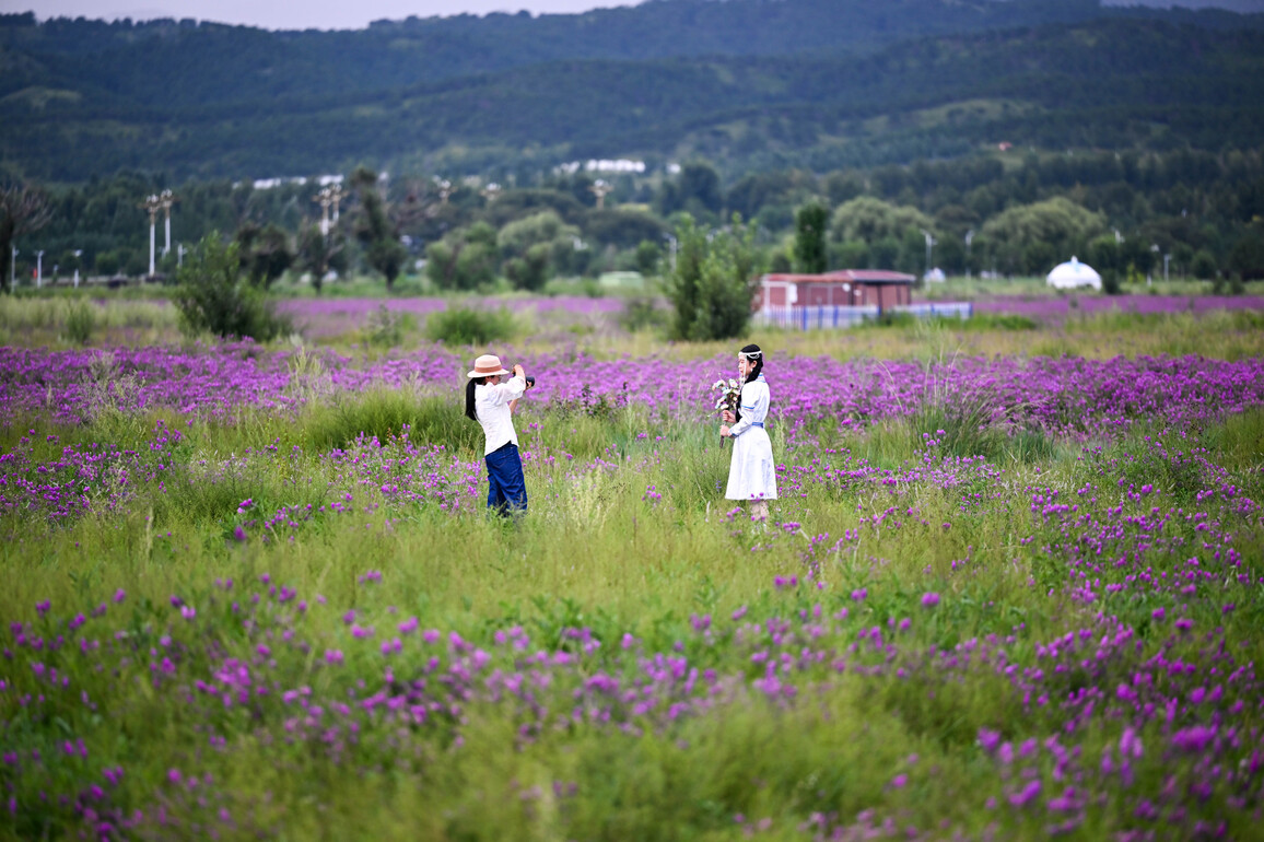 CHINA-INNER MONGOLIA-HOHHOT-GRASSLAND-TOURISM (CN)