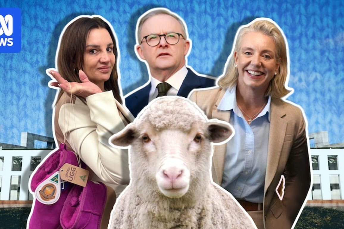 Australian politicians asked if they wear wool ahead of federal election