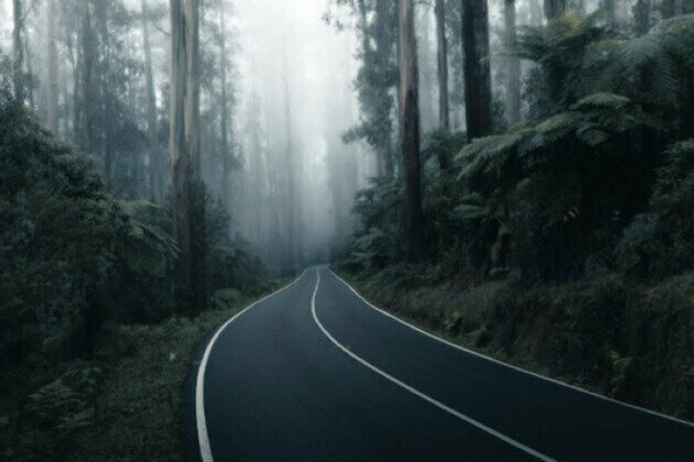 Eco-friendly travel: Sustainable connectivity in Oz