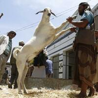 Economic hardship dims Eid al-Adha celebrations for Yemeni people