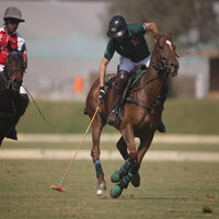 Jindal Polo Estate Cup set to ignite in Noida from February 24