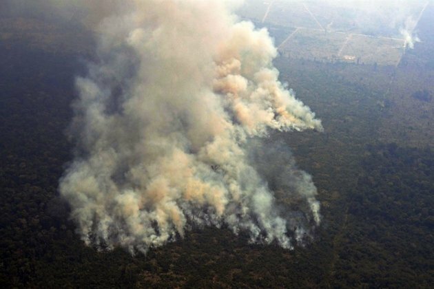 Hundreds of new fires in Brazil as outrage over Amazon grows