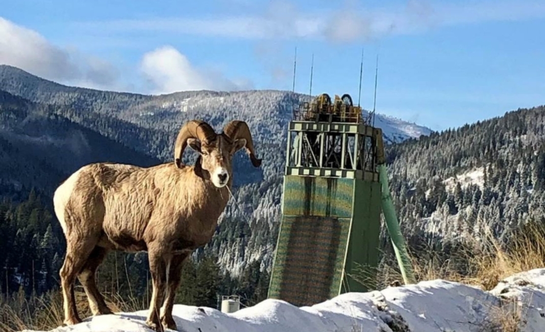  Hecla Mining's Lucky Friday mine in Idaho, USA