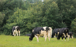 Now is time to change the narrative on sustainability in dairy farming