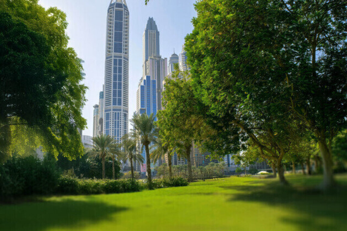 Natural parks across UAE serve as open platforms for attracting investors, entrepreneurs