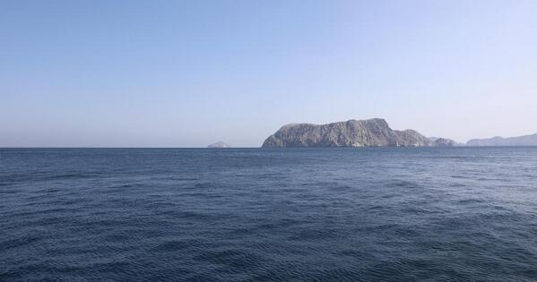 Iran begins letting some Chinese ships cross Strait of Hormuz -- media