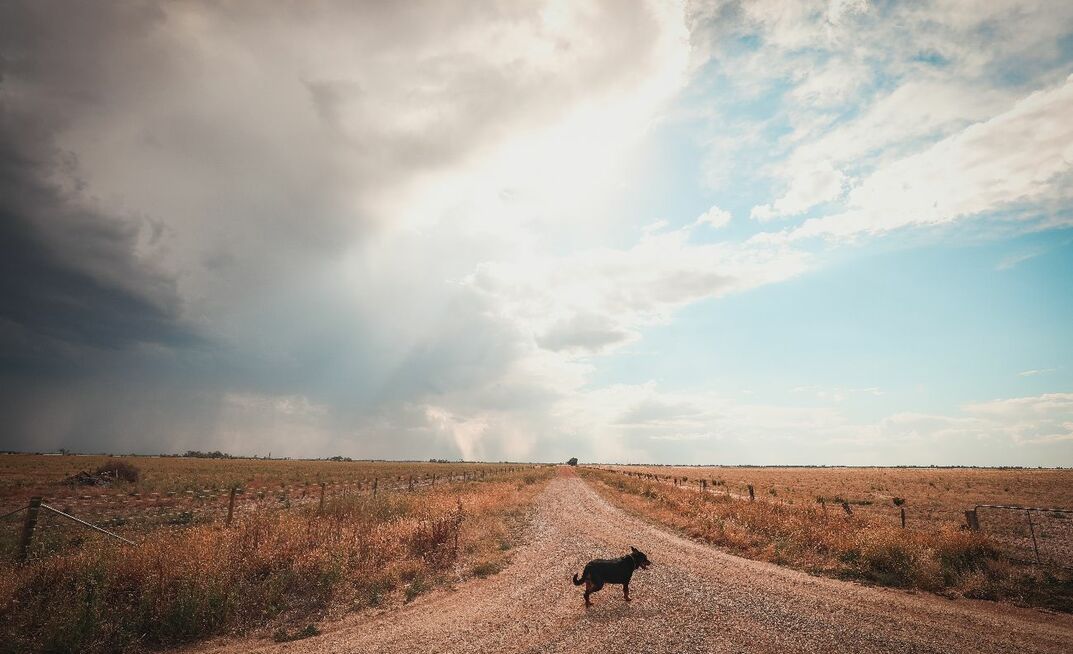 Parts of drought-impacted southern Australia have received much needed rain. 