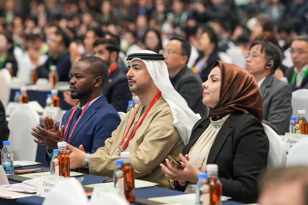 Panda-themed conference promotes global dialogue on ecological protection, green development