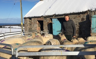 Call to give Scottish farmers 'thank you' payment from Government underspend for work in severe snow