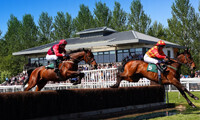 Keyline raises over £625 for Prostate Cancer UK at carnival race day