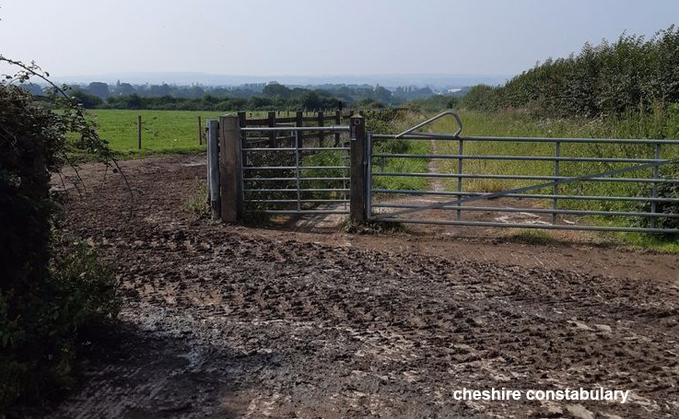 Police remind walkers to close gates properly following the death of an escapee cow