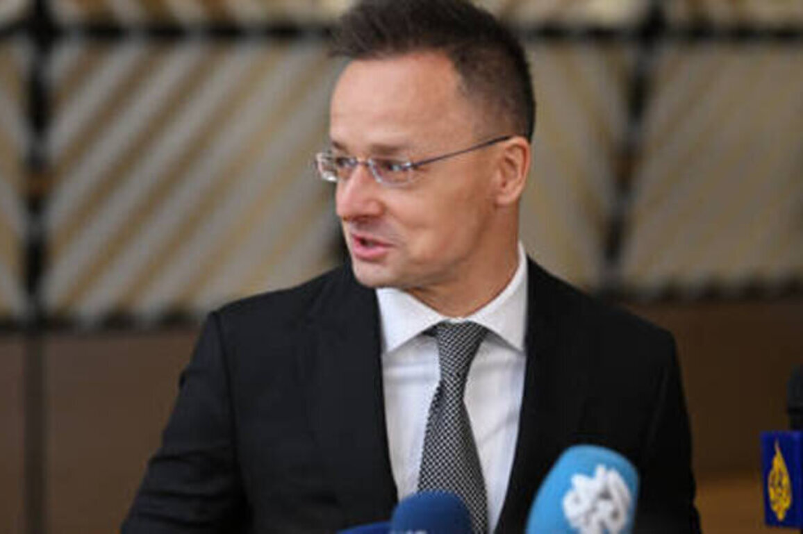 Ukraine can't explain 'war mafia' cash convoy - Hungary