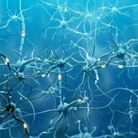 There is no known cure for ALS, but medical tourism exploits desperation for profit