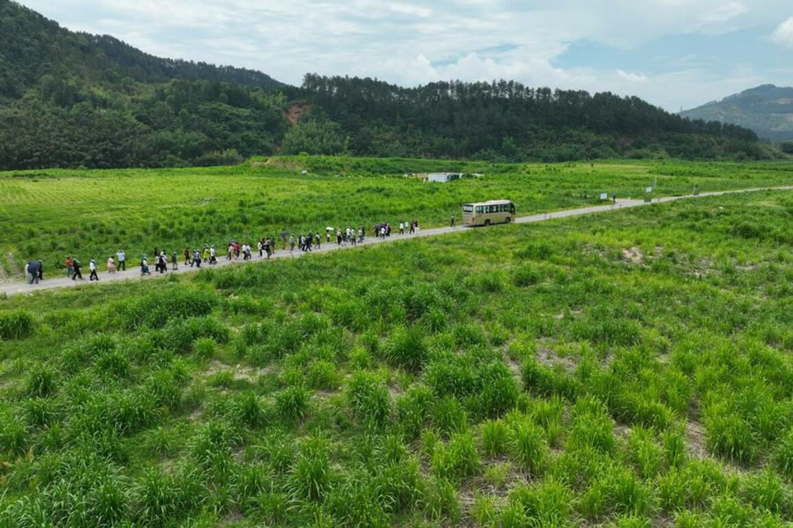 GLOBALink | Foreign guests learn about industry of Chinese "magic" grass in Fuzhou