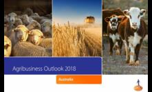  From Rabobank's Agribusiness Outlook for 2018