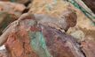 Copper mineralisation at the Big One deposit.