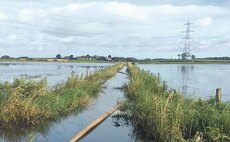 Farmers urged to check storm damage cover
