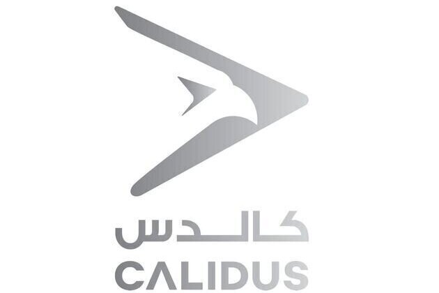 Calidus receives Letter of Intent from Angola for 12 B-250 training aircraft