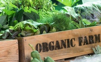 Organic farmers vent frustrations as fears over regen and a lack of public awareness dominate event