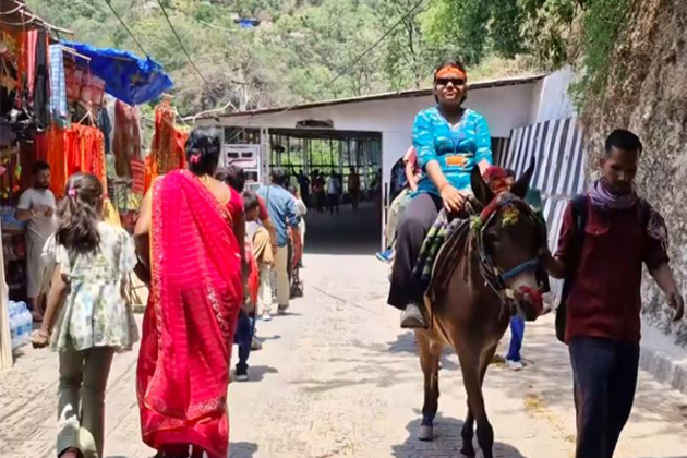 Palki, pony, pithoo owners resume services at Vaishno Devi as yatra sees increase in pilgrims