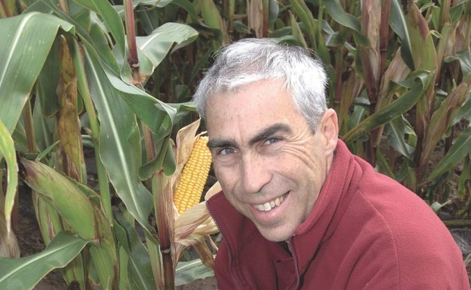 Strong establishment is crucial for maize success