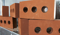 Carbon neutral bricks hit the market