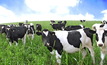 Boost for Tas dairy industry