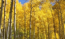 Gold sector returns to Colorado for fall conferences