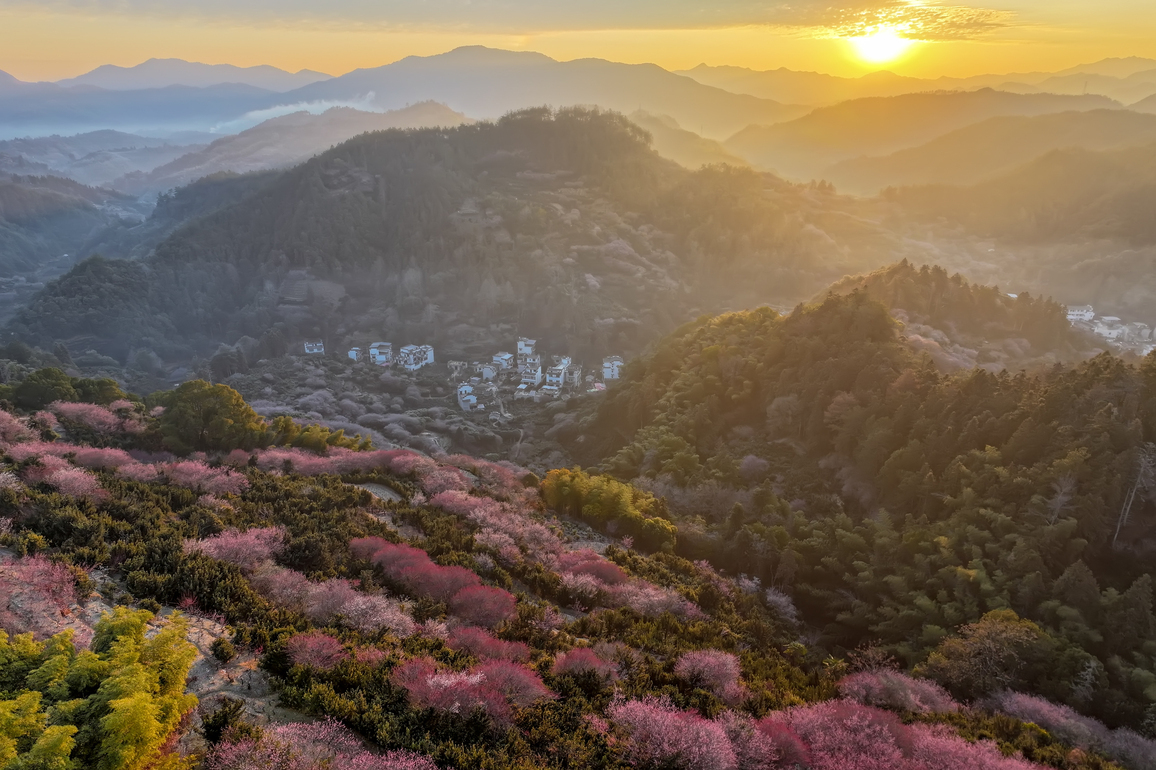 CHINA-ANHUI-SHEXIAN-PLUM-SCENERY (CN)
