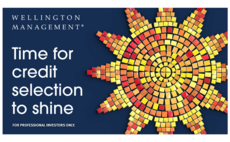 Partner Insight: Time for credit selection to shine