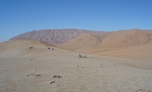 AusQuest chases Peruvian elephants