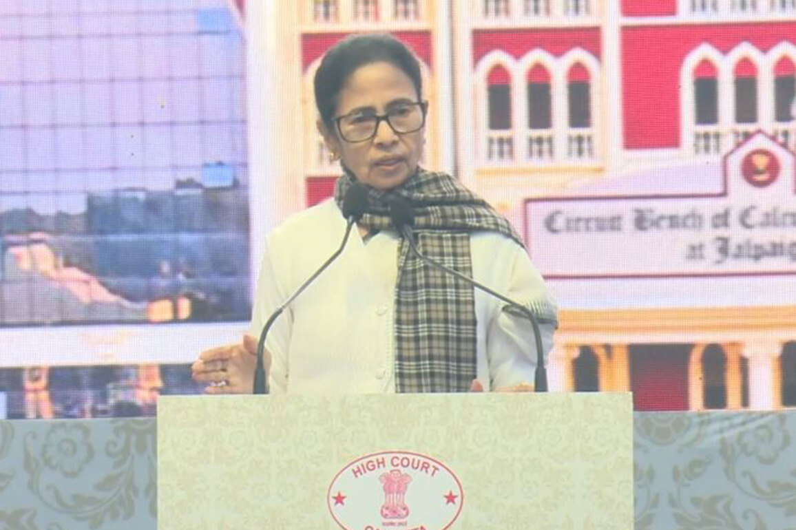 West Bengal: Mamata Banerjee urges judiciary to "protect Constitution, democracy from disaster"