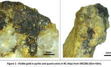  Visible gold in pyrite and quartz veins from Vanguard