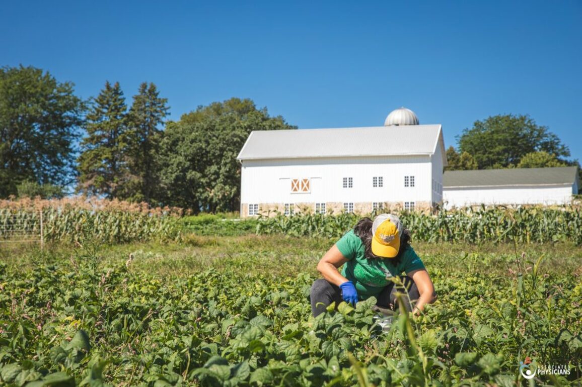 Wisconsin Gardeners, Food Pantries Unite to Feed the Hungry   Urban Milwaukee