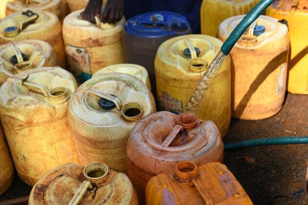 In Pics: Chinese technologies empower Africa to combat desertification