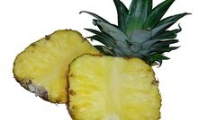 Pineapple growers can smile again