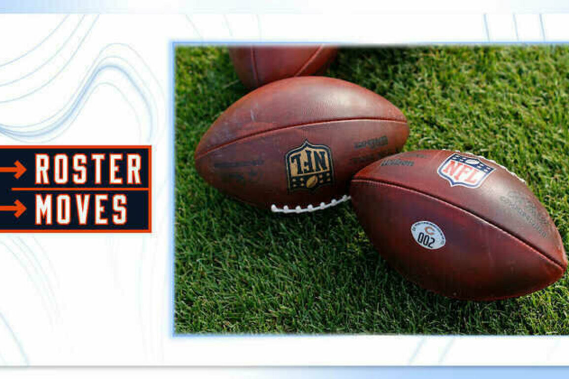 Roster Moves: Chicago Bears place two on IR, sign Kpassagnon