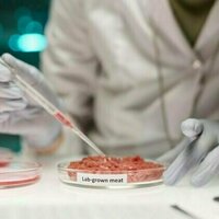 Lab-grown meat: you may find it icky, but it could drive forward medical research