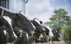 Farmers asked to share experience of challenging dairy sector