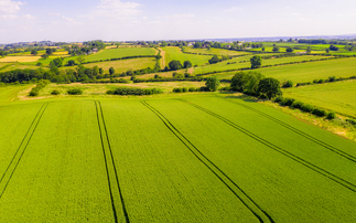 Total farm income profitability decreases by more than £1 billion