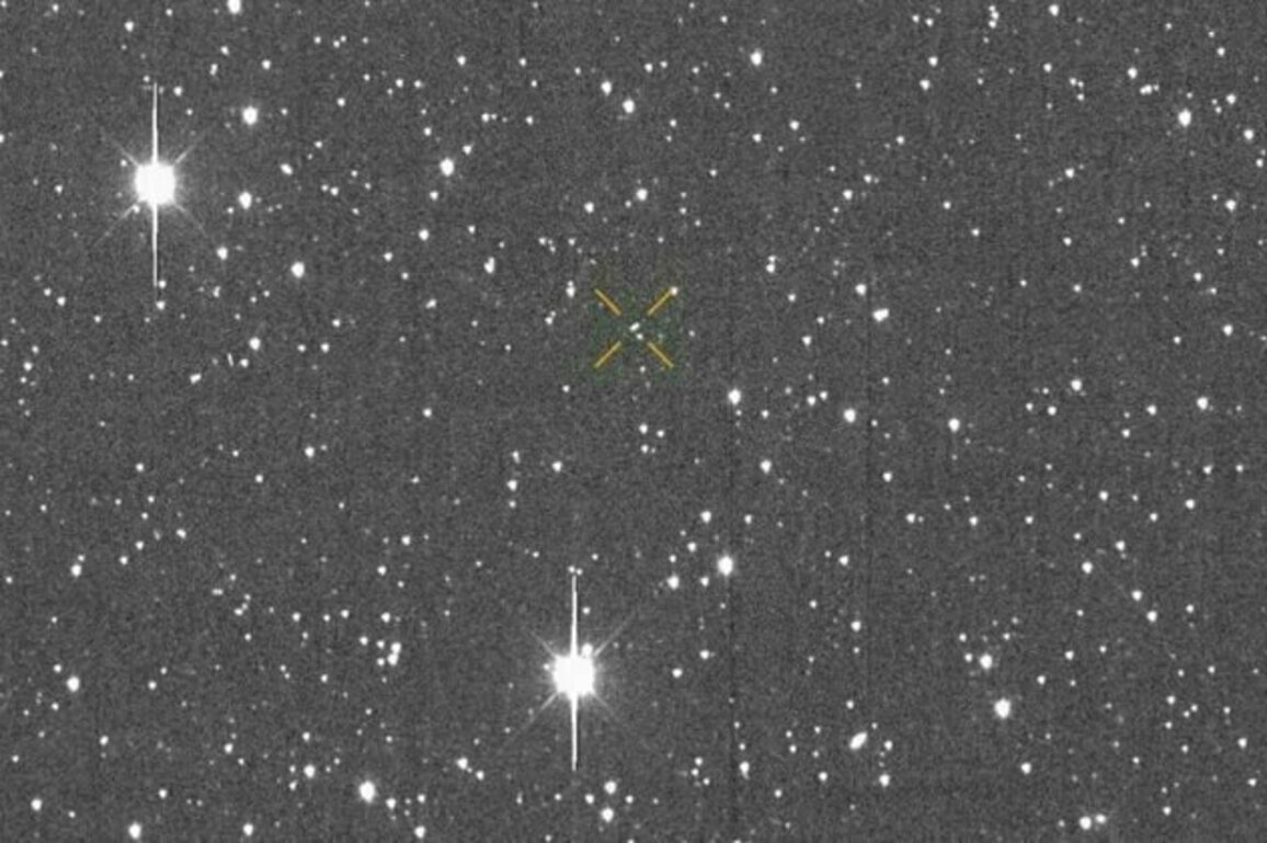 Newly discovered asteroid will bypass Earth 